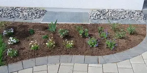 Staudenbeet_Vorgarten.webp