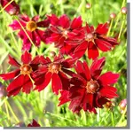 1674.webp