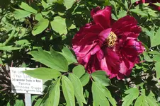 DSCF0780.webp