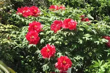 DSCF0785.webp