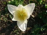 k-P1090111.webp