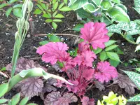 DSCN7915.webp