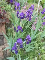 DSCN2322.webp