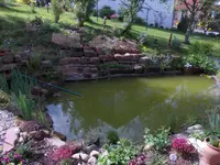 DSCN0184.webp