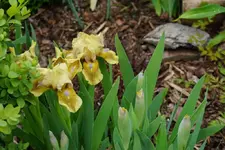 Gardone.webp