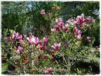 18.webp