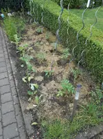 DSCN1119.webp
