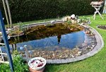 Wasserquali extrem gut_700.JPG