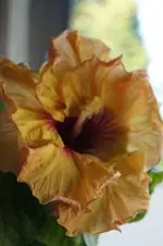 _DSC8194.webp