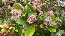 20150511_122114.webp