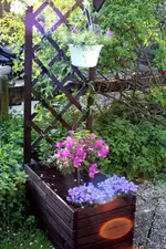 Kuebelgroß.webp