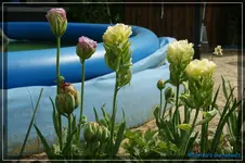 comp_DSC03367.webp