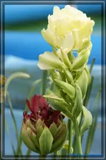 comp_DSC03389.webp