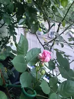 20150511_203752.webp