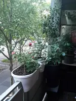 20150511_203803.webp