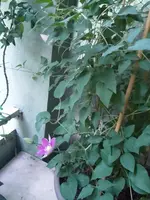 20150511_203839.webp