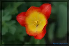 comp_DSC03382.webp