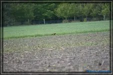 comp_DSC03392.webp