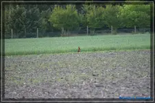 comp_DSC03403.webp