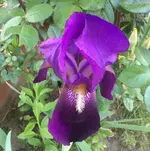 image.webp