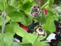 011_1024x768.webp