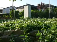 k-P1090099.webp