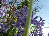 k-P1090102.webp