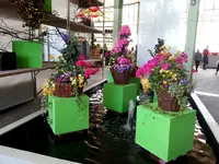 2015-05-10 Hallenschau   Terrasse 6.webp