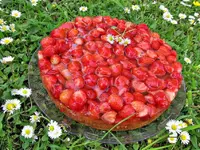 IMG_5200v.webp