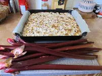 Rhabarberkuchen (6)vv.webp