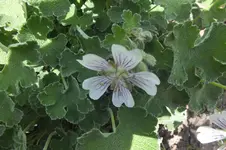 DSCF0791.webp