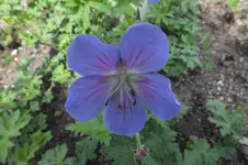 DSCF0795.webp