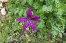 DSCF0868.webp