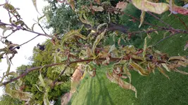 2015-05-11 19.37.26.webp