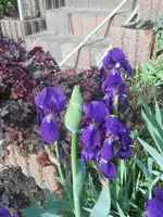 DSCN2340.jpg