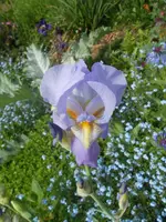 DSCN2338.webp