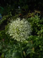 DSCN2343.webp
