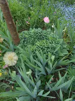 DSCN2345.webp
