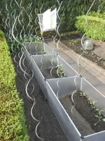 DSCN2342.webp