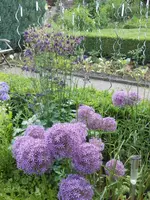 DSCN1153.webp