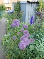 DSCN1150.webp