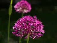 IMG_7614.webp