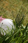IMG_7617.jpg