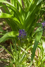IMG_7619.webp