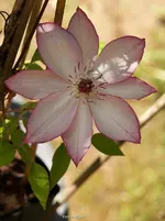 IMG_7624.webp