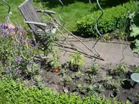 IMG_0024_1.webp