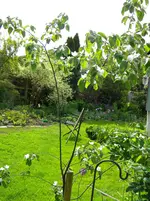 DSCN7934.webp
