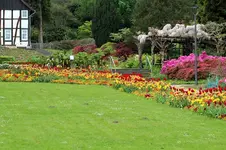 Tulpenmeer1.webp