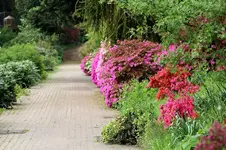 Wegesrand.webp