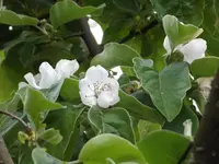 20150512 009.webp